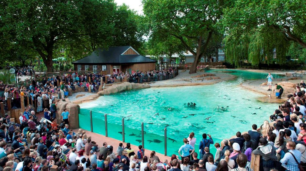 zsl_london_penguin-beach